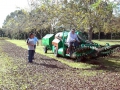 demo-pecan-nut-harvesting-equipment-harvester-04