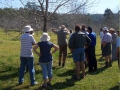 Field-Day-Frank-Andrea-Boyle-orchard-Lismore-NSW-01