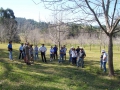 Field-Day-Frank-Andrea-Boyle-orchard-Lismore-NSW-03