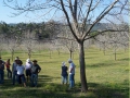 Field-Day-Frank-Andrea-Boyle-orchard-Lismore-NSW-04