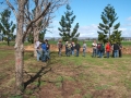 field-days-01-beaudesert-stuart-murrays-farm