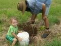 young-trees-03-planting