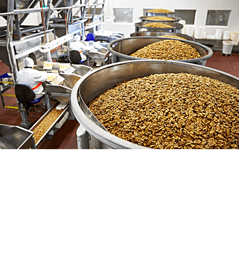 slide - 05 – Pecan Production